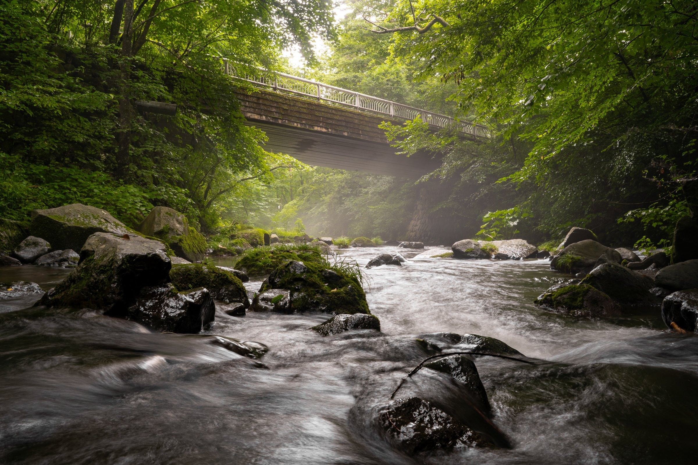 Forest stream with stone bridge, misty dreamy light